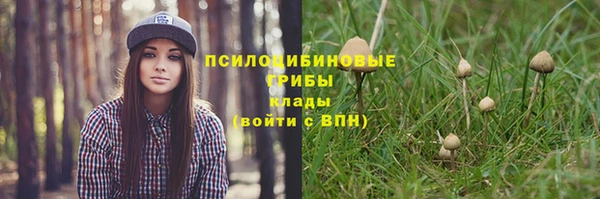 мяу мяу мука Арсеньев