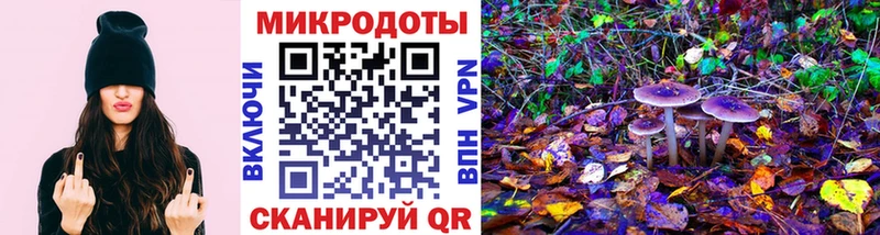 Псилоцибиновые грибы Psilocybine cubensis Островной